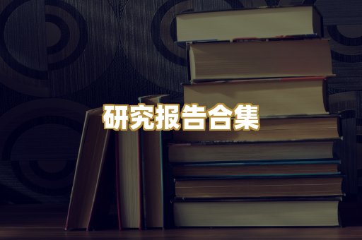 研究报告合集
